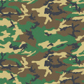 WOODLAND