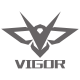 VIGOR AIRSOFT | hobbyexpert.es